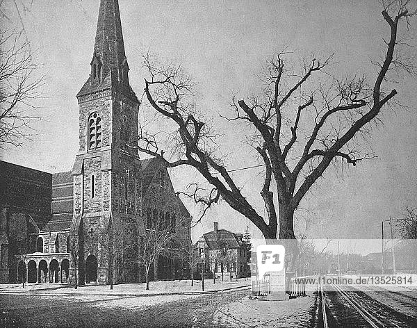 Cambridge bei Boston  Middlesex County Massachusetts  die Washingtoner Ulmen im Winter neben der Kirche  1899  Amerika