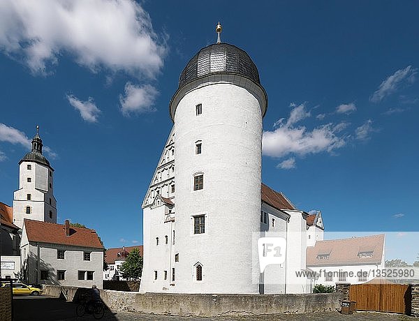 Schloss  Ringelnatzstadt Wurzen  Sachsen  Deutschland  Europa