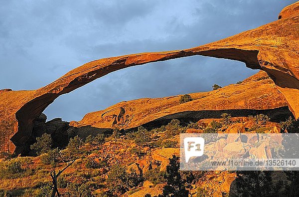 Landschaft Arch Felsformation am Morgen in einer stürmischen Atmosphäre  Arches National Park  Utah  Vereinigte Staaten  Amerika  Nord Amerika