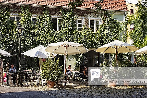 Greened Café Rufus Lechviertel Augsburg Swabia Bavaria Germany Europe