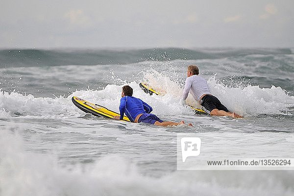 Junge Surfer am Strand von Surfers Paradise  Queensland  Gold Coast  Australien  Ozeanien