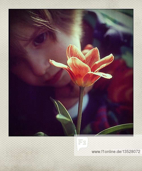 Kleines Mädchen begutachtet eine Blume, Frankreich, Europa