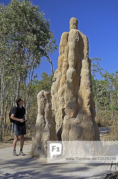 Bau durch Domtermiten  Nasutitermis triodiae  im Vergleich zu einem 1  85 Meter Mann  Litchfield NP  Northern Territory  Australien  Ozeanien