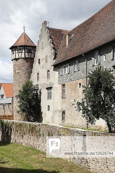 Stadtmauer mit Diebesturm  ehemalige Michelstädter Burg  Michelstadt im Odenwald  Hessen  Deutschland  Europa  PublicGround