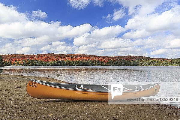 Kanufahren am Ufer des Canisbay Lake im Herbst  Indian Summer  Algonquin Provincial Park  Ontario  Kanada  Nordamerika