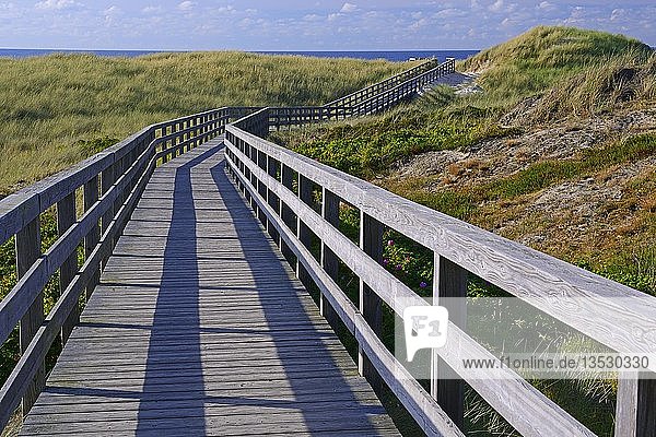 Strandpromenade durch die Dünen zum Strand von Kampen  Sylt  Nordfriesische Inseln  Nordfriesland  Schleswig-Holstein  Deutschland  Europa
