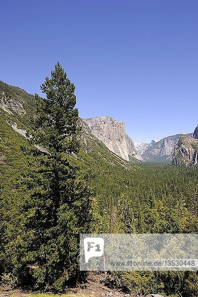 Typische Landschaft mit dem Merced River im Yosemite National Park  Kalifornien  USA  Nordamerika
