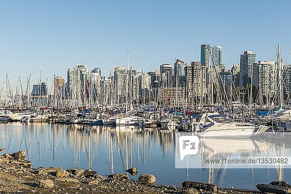 Jachthafen mit Segelbooten  hinteres Stadtzentrum mit Wolkenkratzern  Coal Harbour  Vancouver  British Columbia  Kanada  Nordamerika
