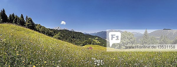 Grüne Wiese auf dem Eckbauer Berg  Eckbauer  Garmisch-Partenkirchen  Oberbayern  Bayern  Deutschland  Europa