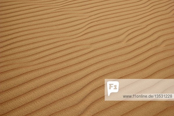 Struktur im Wüstensand  Rub al Khali  Emirat Abu Dhabi  Vereinigte Arabische Emirate  Asien