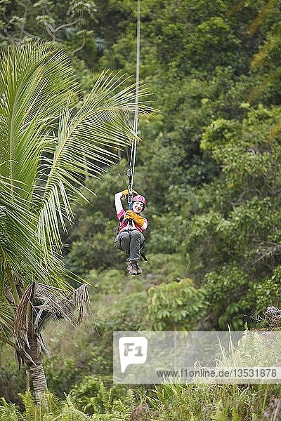 Woman  38  riding a zipline through the jungle  Samaná province  Dominican Republic  Central America