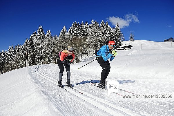 Olympic silver medalist Tobi Angerer with his wife Romy on the cross-country ski trail of Winklmoos-Alm  Reit im Winkl  Chiemgau  Bavaria  Germany  Europe