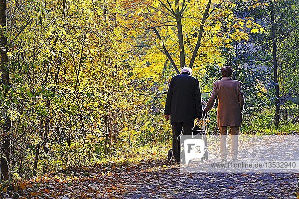 Älteres Ehepaar geht im Herbst auf einem Weg spazieren  Grevenbroich  Nordrhein-Westfalen  Deutschland  Europa