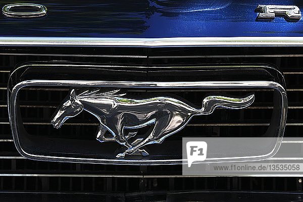 Vintage Ford Mustang  Emblem  Frontansicht  Deutschland  Europa