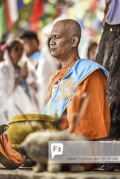 Buddhistischer Meister meditiert am Bodhi Baum am Mayadevi-Tempel Geburtsort von Buddha Lumbini Nepal Asien