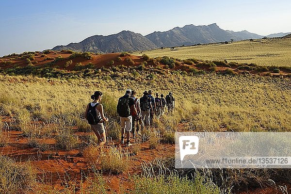 Wanderer  Wanderung auf dem Tok Tokie Trail  Namib Rand Nature Reserve  Namib Naukluft Park  Namibia  Afrika