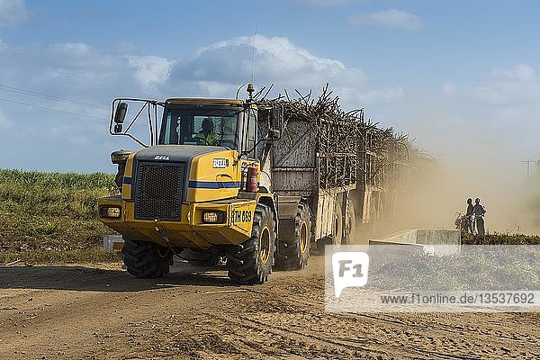 Voll beladener Zuckerrohr-LKW fährt auf staubiger Straße durch die Zuckerrohrfelder Nchalo Malawi Afrika