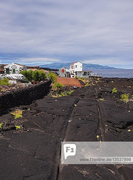 Ochsenkarren-Spuren im Lavagestein  Lajido  Insel Pico  Azoren  Portugal  Europa