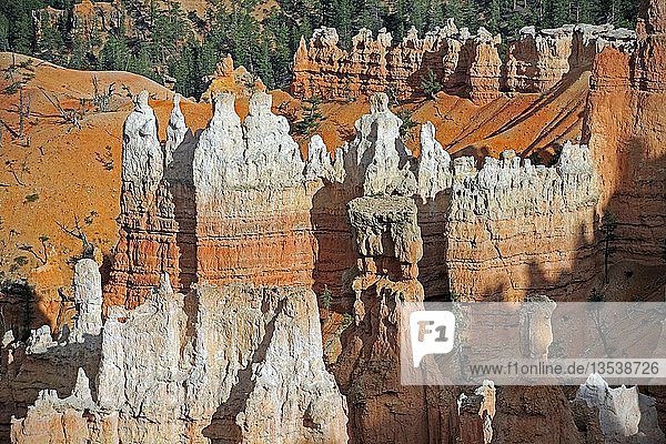 Rock formations and hoodoos in the evening  Bryce Canyon National Park  Sunset Point  Utah  USA  America  North America