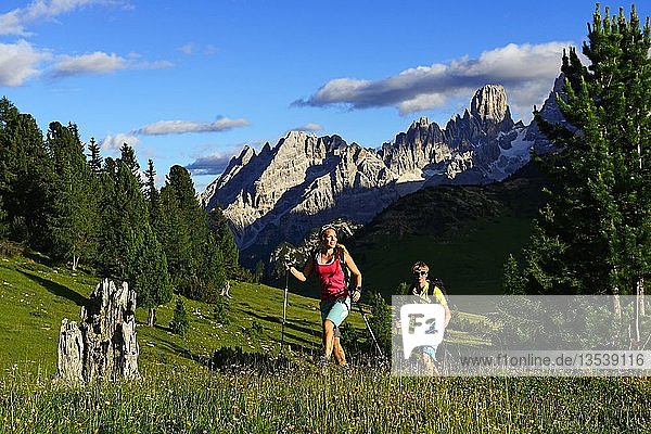 Hikers on the ascent from the Prato Piazza to the summit of the Dürrenstein  in the back the summit of Monte Cristallo  Sexten Dolomites  Alta Pusteria  South Tyrol  Italy  Europe