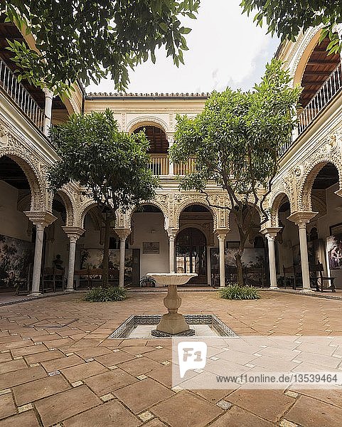 Innenhof mit Säulengang  arabische Architektur  Casa de los Pinelo  Andalusien  Spanien  Europa