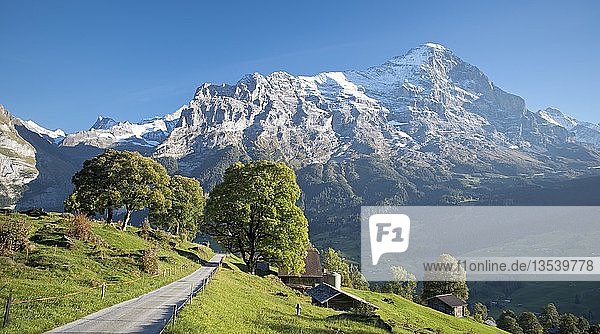 Eiger mit Eigernordwand  Grindelwald  Berner Oberland  Schweiz  Europa