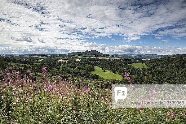 Aussichtspunkt  Scott's View  St Boswells  Borders District  Schottland  Vereinigtes Königreich  Europa