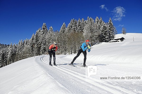 Olympic silver medalist Tobi Angerer with his wife Romy on the cross-country ski trail of Winklmoos-Alm  Reit im Winkl  Chiemgau  Bavaria  Germany  Europe