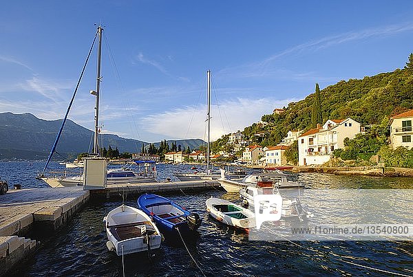 Fischerboot  Dorf Rose  Halbinsel Lustica  Lu?tica  bei Herceg Novi  Bucht Kotor  Montenegro  Europa