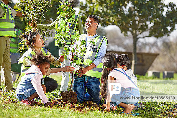 Freiwillige pflanzen einen Baum im Park