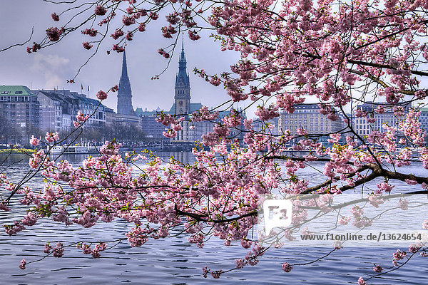 Rathaus Hamburg Deutschland Europa