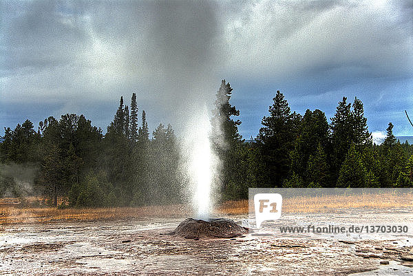 Amerika,Gewässer,Geysir,Heiße Quelle,Landschaft,Montana USA