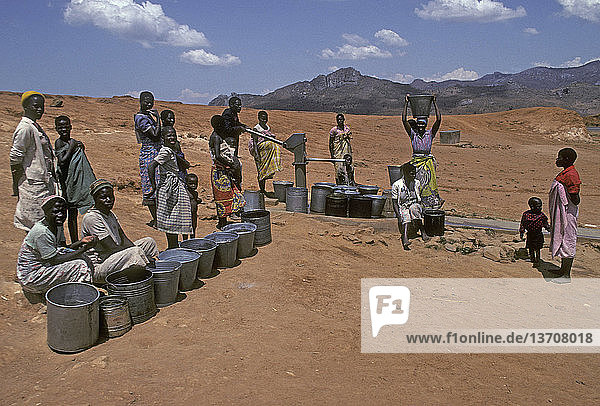 Afrika,Eimer,Erwachsener,Frau,Gegenstand,Gemeinschaft