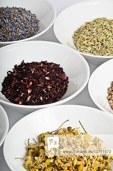 Dried lavender,  hibiscus flowers,  coriander seeds,  chamomile flowers,  and anise in individual bowls. Each of these herbs have a medicinal purpose,  used by those who practice traditional medicine.