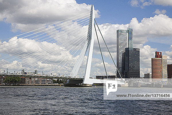 Erasmusbrug  Erasmus Bridge  spanning the River Maas  Rotterdam  Netherlands