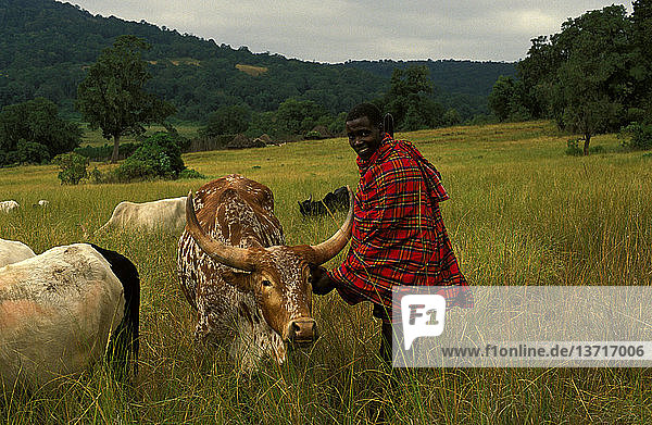Masai-Mann Oloimooja ole Rerente mit seinem Lieblingsbullen Kenia
