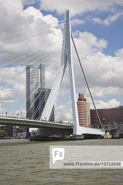 Erasmusbrug  Erasmus Bridge  spanning the River Maas  Rotterdam  Netherlands