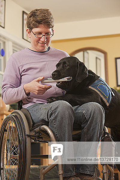 Diensthund  der für eine Frau mit Multipler Sklerose im Rollstuhl die Fernbedienung aufhebt