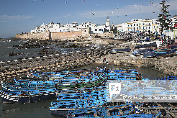 Kleine blaue Fischerboote dicht gedrängt im Hafen mit weißen Medinamauern im Hintergrund  Essaouira  Marokko