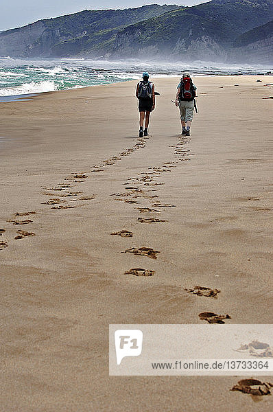 Hikers walking along beach near Apollo Bay  Great Ocean Road  Victoria  Australia