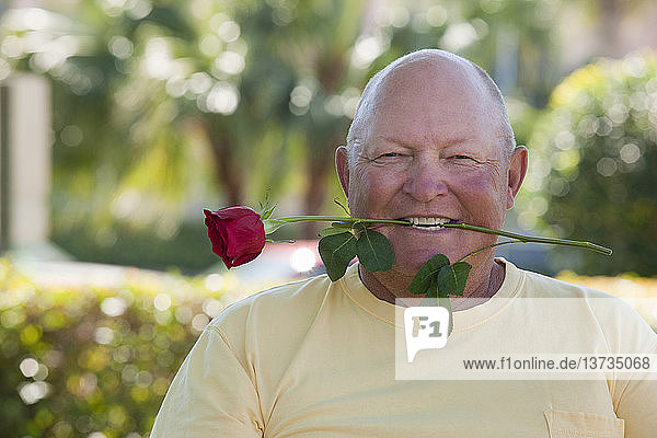 Senior man with a rose in his mouth
