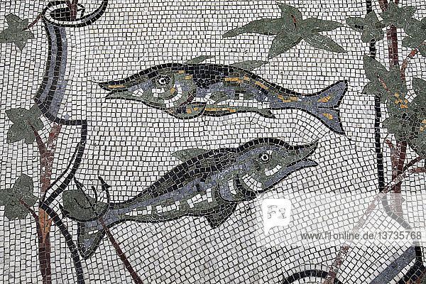 Astral sign mosaic in Galleria Umberto  Napoli: Pisces