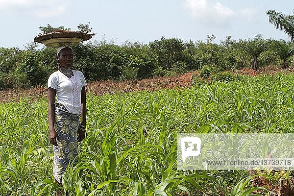 African farmer standing in a field.