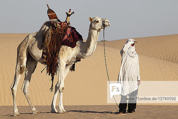 Kameltreiber beim Blick in die Wüste Sahara