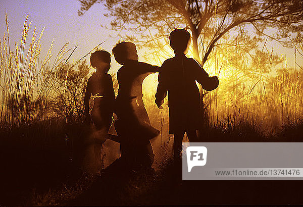 Aboriginal children in silhouette at sunset on the Canning Stock Route  Little Sandy Desert  Western Australia