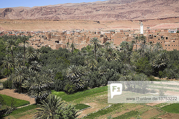Eine Berber-Oasenstadt an den südöstlichen Ausläufern des Atlasgebirges am Rande der Wüste Sahara  Tinerhir  Marokko
