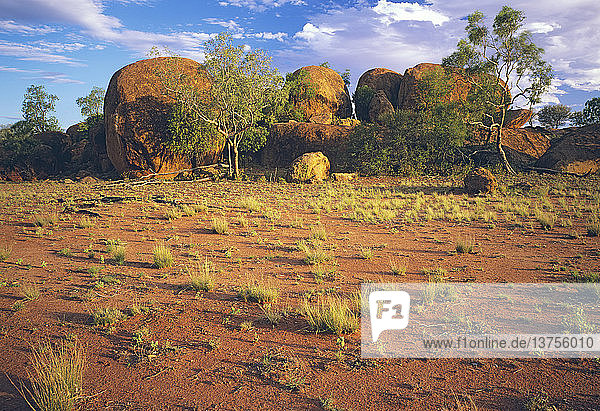 Trockenes offenes Tussock-Grasland mit Granittürmen  The Granites  Currawinya National Park  westliches Queensland  Australien