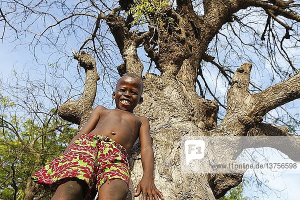 Junge spielt in einem Baum  Lome  Togo.