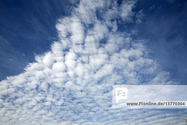 Cirro Cumulus-Wolken  oft auch Makrelenhimmel genannt