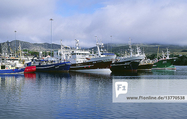 Fischerboote in Castletownbere  Grafschaft Cork  Irland